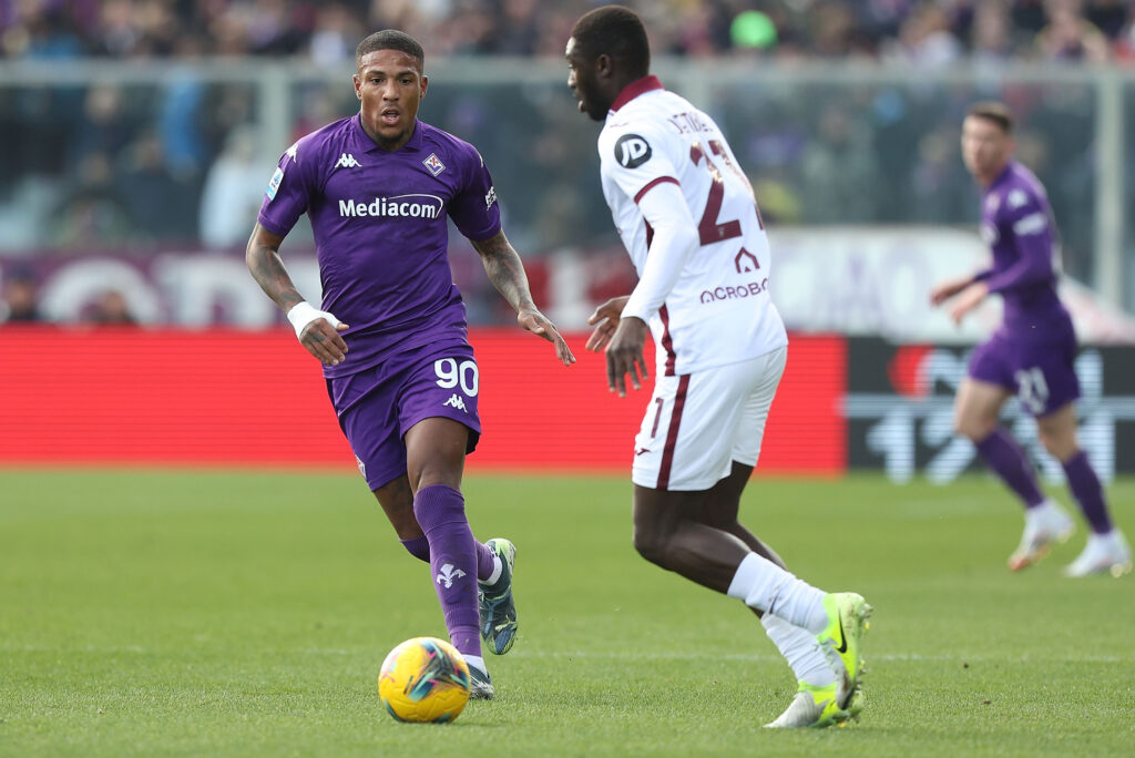 Fiorentina v Torino - Serie A