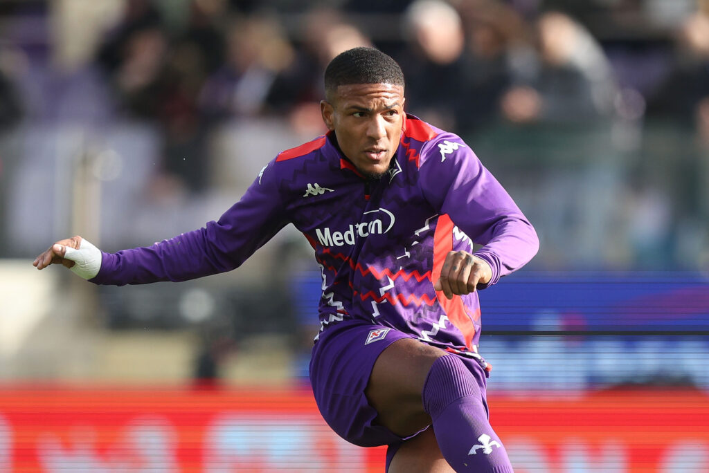 Fiorentina v Torino - Serie A