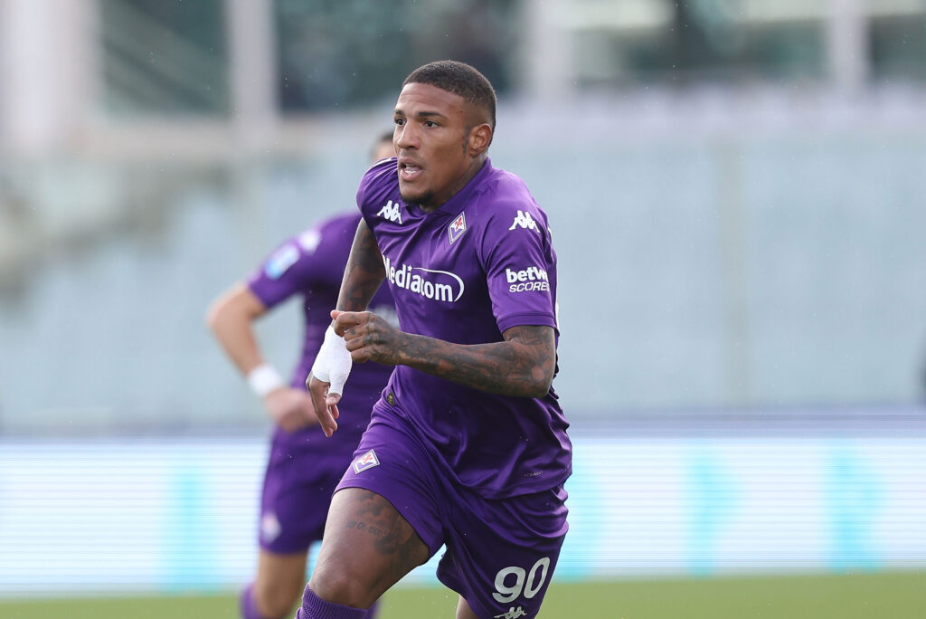 Fiorentina v Torino - Serie A