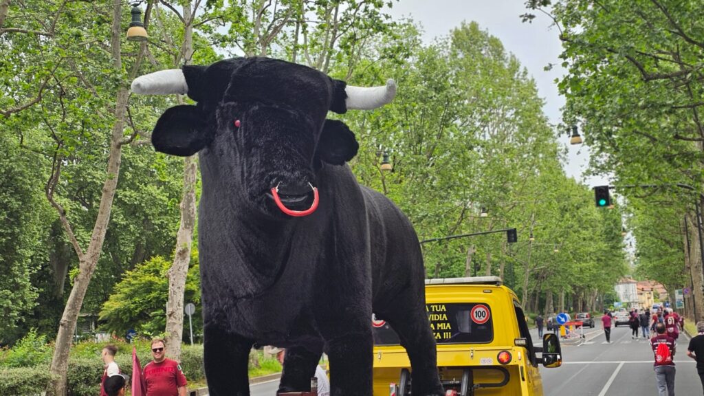 WhatsApp Image 2025-05-04 at 12.43.32