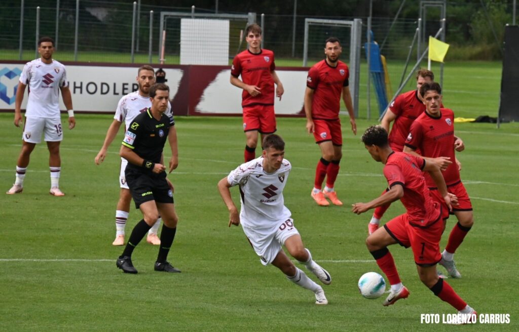 Gineitis, Vlasic, Adams torino