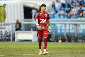Gremio v Santos - Brasileirao 2025