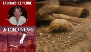 Schermata 2025-07-18 alle 21.54.26