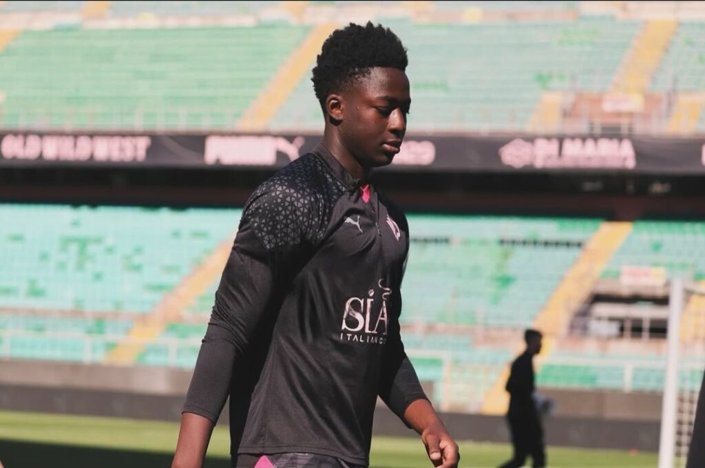 Francesco Gallea Beidi