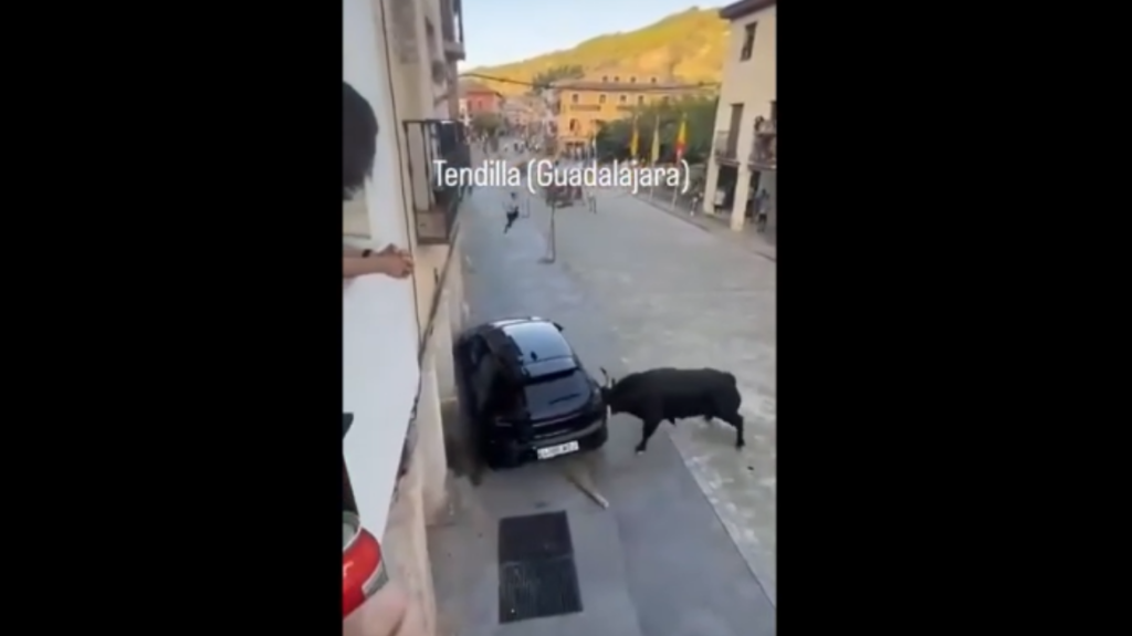 Screenshot 2025-09-16 at 19-06-02 Caos in Spagna toro carica e distrugge un’auto
