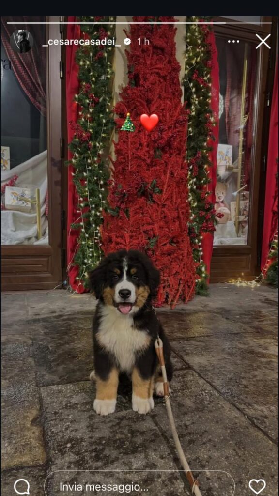 WhatsApp Image 2025-12-25 at 18.10.08