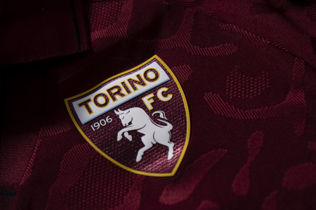 logo torino toro