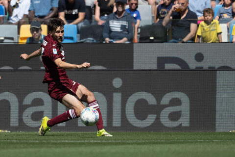 Udinese Calcio v Torino FC - Serie A