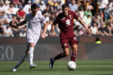 udinese-torino