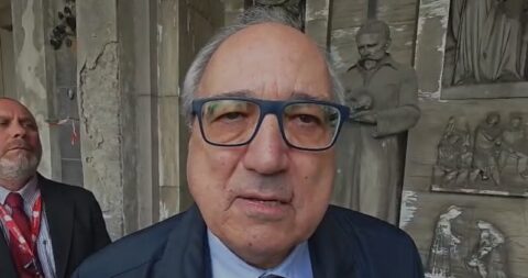 leonardo d'alessandro