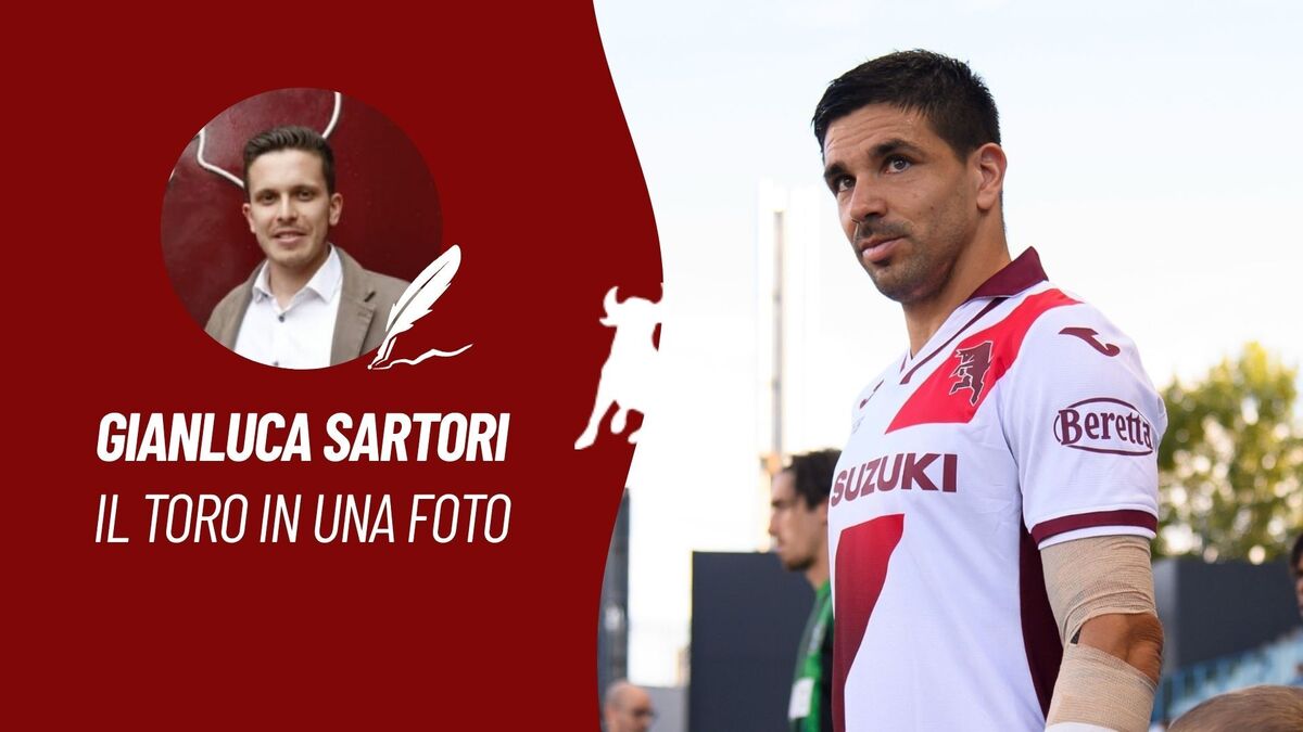 il toro in una foto