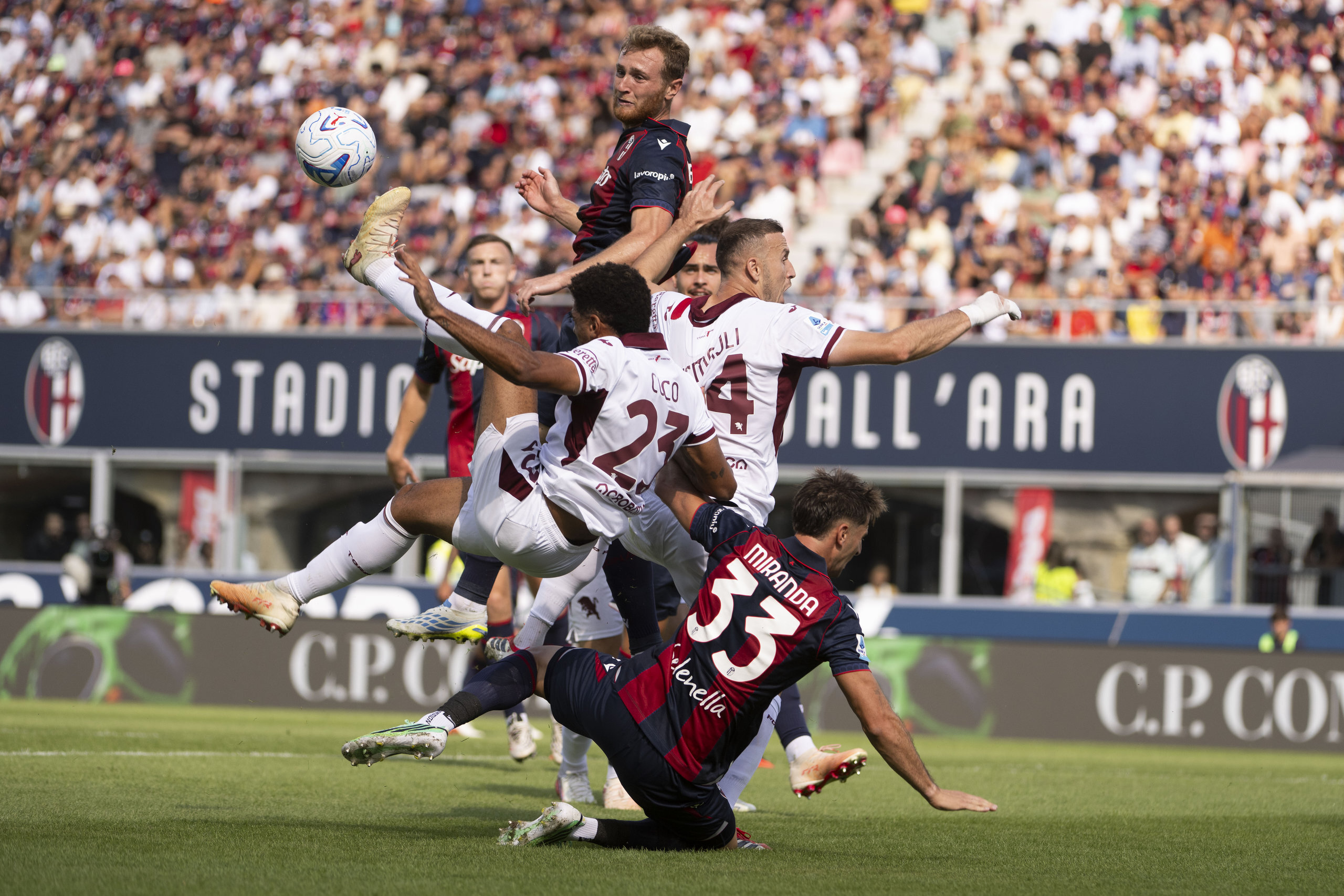 Bologna-Torino 1-1, le statistiche: i granata sbattono sul cinismo dei rossoblù