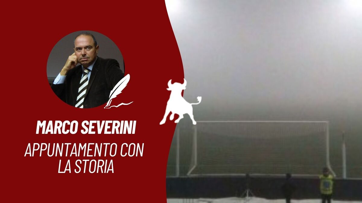 RUBRICHEVIDEO TORONEWS (1)