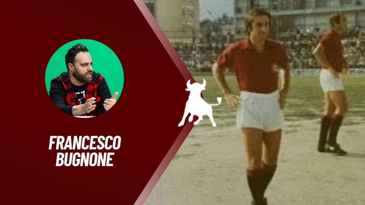 RUBRICHE_VIDEO TORONEWS (6)
