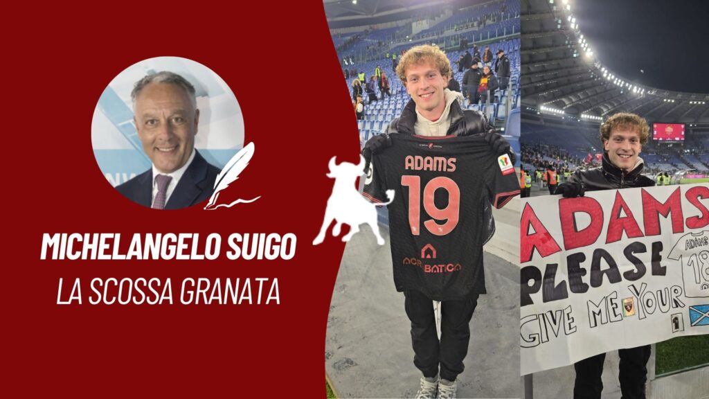 NUOVE RUBRICHE TORONEWS